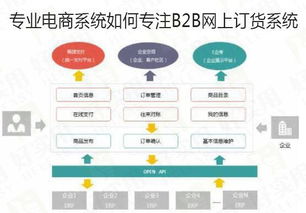 專(zhuān)業(yè)電商系統(tǒng)如何專(zhuān)注B2B網(wǎng)上訂貨系統(tǒng)