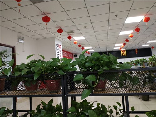 滑縣免費(fèi)的b2b推廣平臺(tái) 發(fā)布貓不限制關(guān)鍵詞發(fā)布